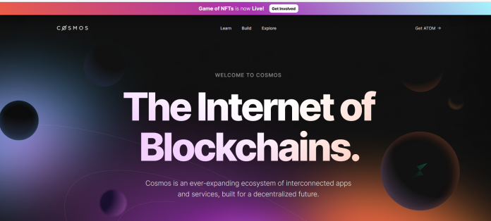 Blockchain Ecosystem